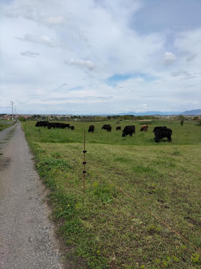 Rod Ranch Livestock - Appartamento Con Camino E Vista Piscina Кампаньяно-ди-Рома Экстерьер фото