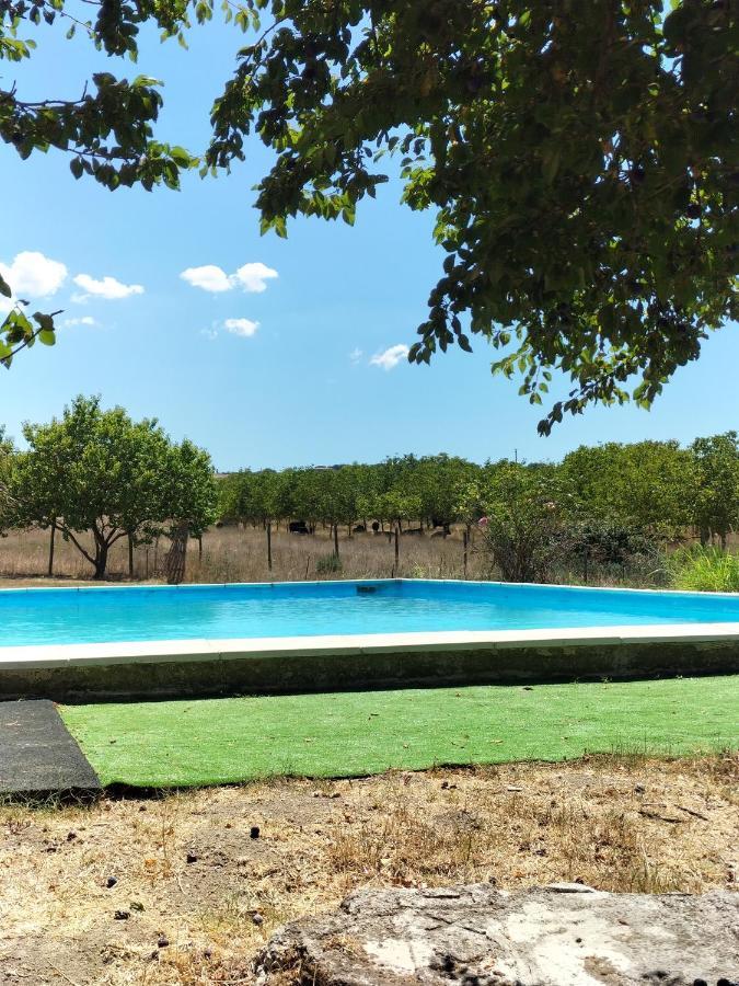 Rod Ranch Livestock - Appartamento Con Camino E Vista Piscina Кампаньяно-ди-Рома Экстерьер фото