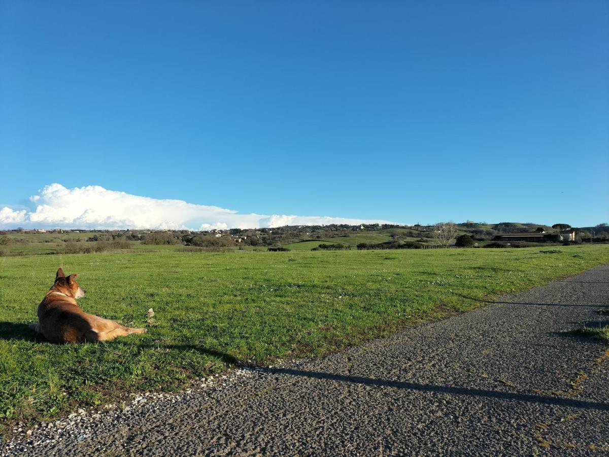 Rod Ranch Livestock - Appartamento Con Camino E Vista Piscina Кампаньяно-ди-Рома Экстерьер фото